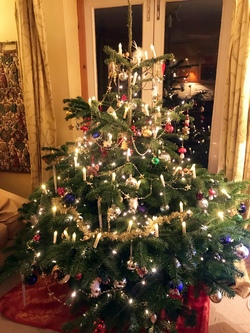 Rosie tree 250