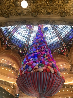 Rosie Galleries Lafayette 250