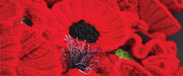 Poppies