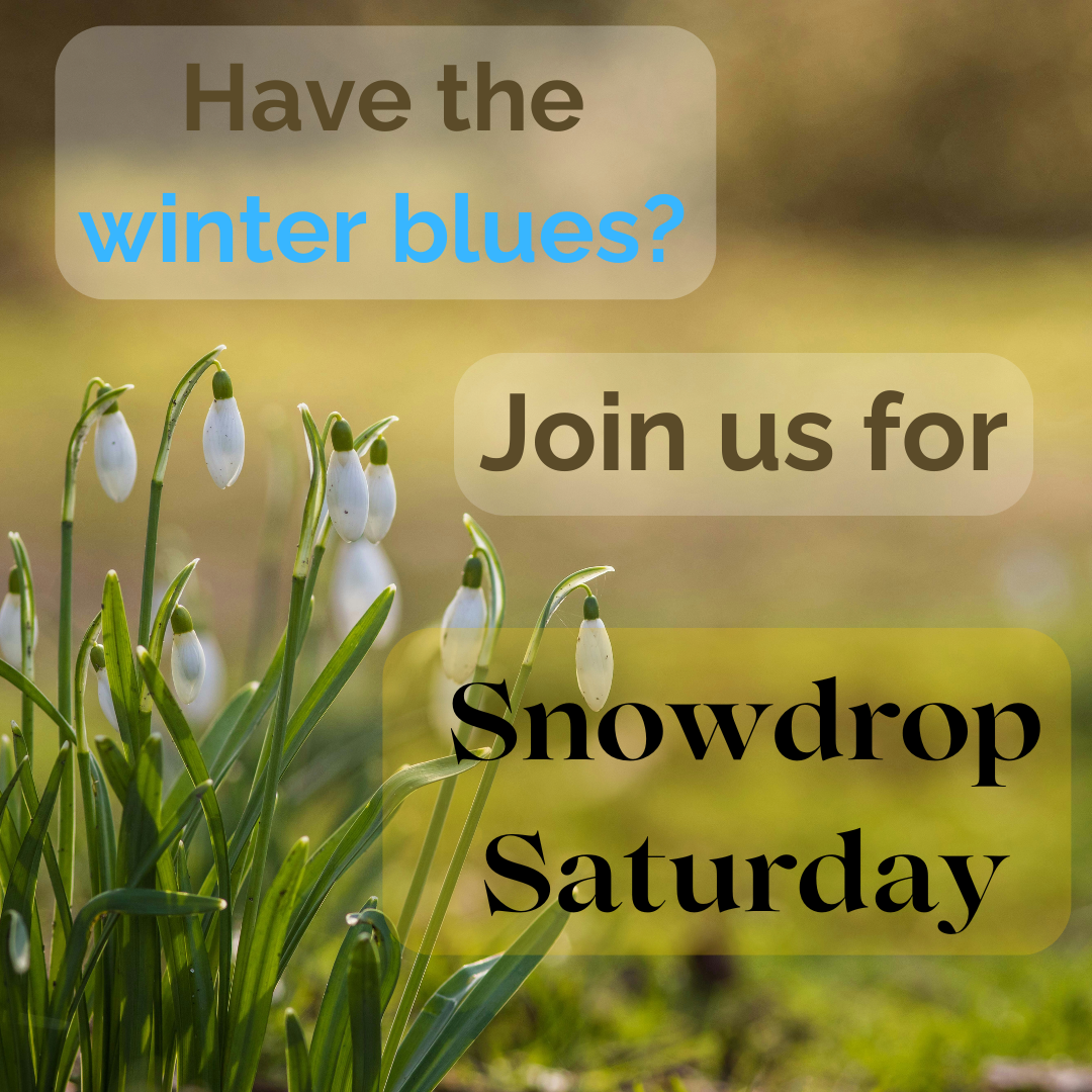 Snowdrop Saturday